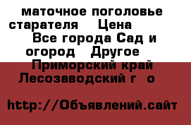 маточное поголовье старателя  › Цена ­ 3 700 - Все города Сад и огород » Другое   . Приморский край,Лесозаводский г. о. 